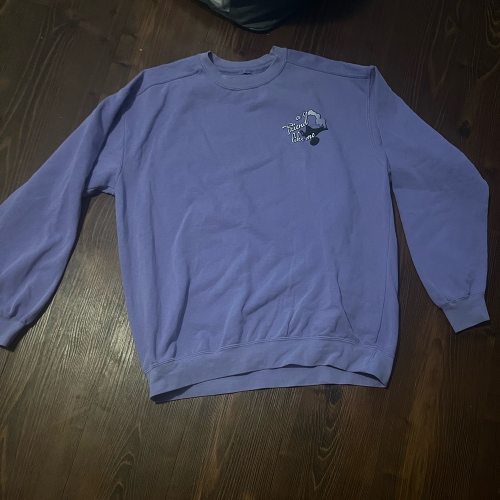 Disney Alden sweater